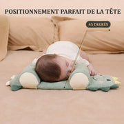 Coussin ergonomique bébé au sarrasin